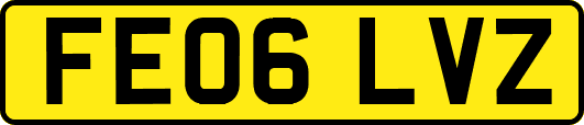 FE06LVZ