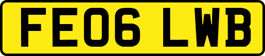 FE06LWB