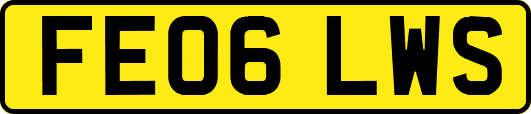 FE06LWS