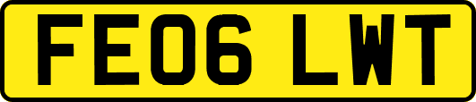 FE06LWT