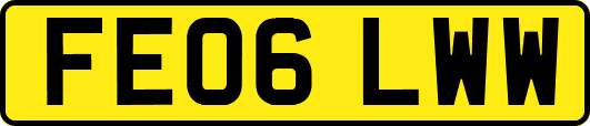 FE06LWW