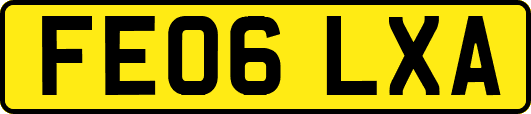 FE06LXA