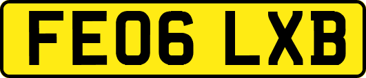 FE06LXB