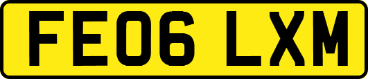FE06LXM