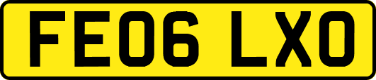 FE06LXO