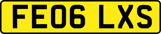 FE06LXS