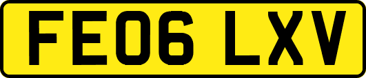 FE06LXV