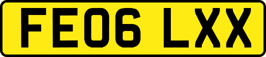 FE06LXX