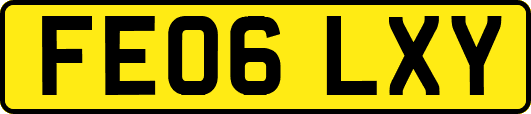 FE06LXY