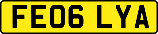 FE06LYA
