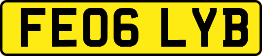 FE06LYB
