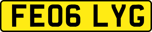 FE06LYG