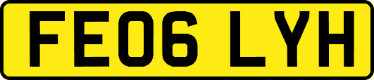 FE06LYH