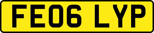 FE06LYP