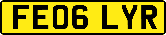 FE06LYR