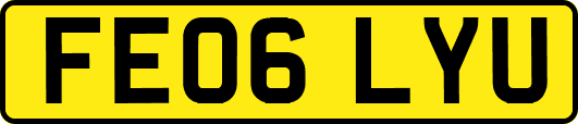FE06LYU