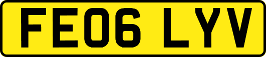 FE06LYV