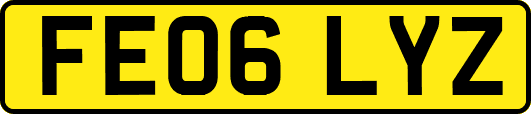 FE06LYZ