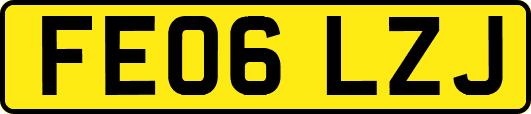 FE06LZJ