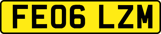 FE06LZM