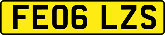 FE06LZS