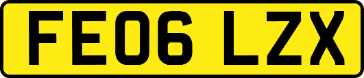 FE06LZX