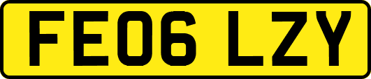 FE06LZY