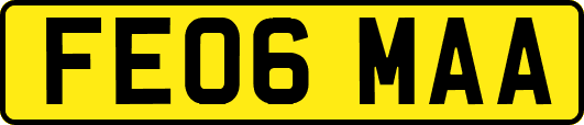 FE06MAA