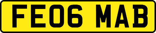 FE06MAB