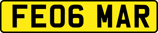 FE06MAR