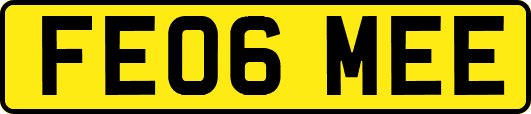 FE06MEE