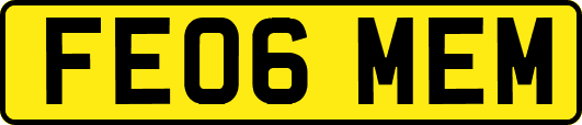 FE06MEM