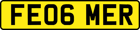 FE06MER