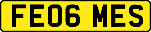 FE06MES