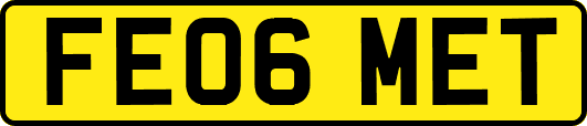 FE06MET