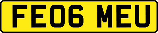 FE06MEU