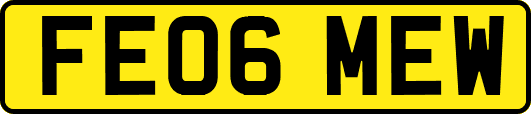 FE06MEW