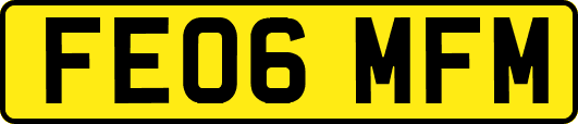 FE06MFM