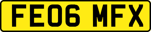 FE06MFX