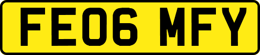 FE06MFY