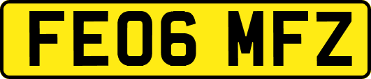 FE06MFZ