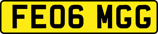 FE06MGG