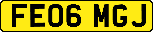 FE06MGJ