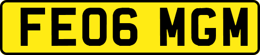 FE06MGM