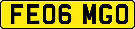 FE06MGO