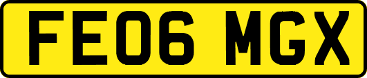 FE06MGX