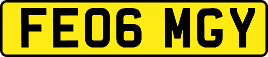 FE06MGY