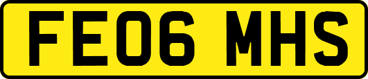 FE06MHS