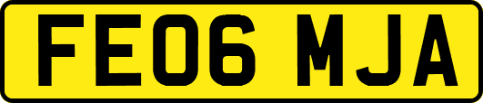 FE06MJA