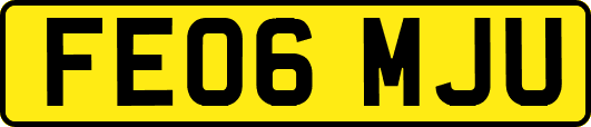 FE06MJU